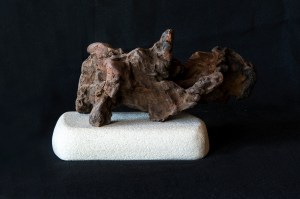 Disaster pieces - 'Washed up'