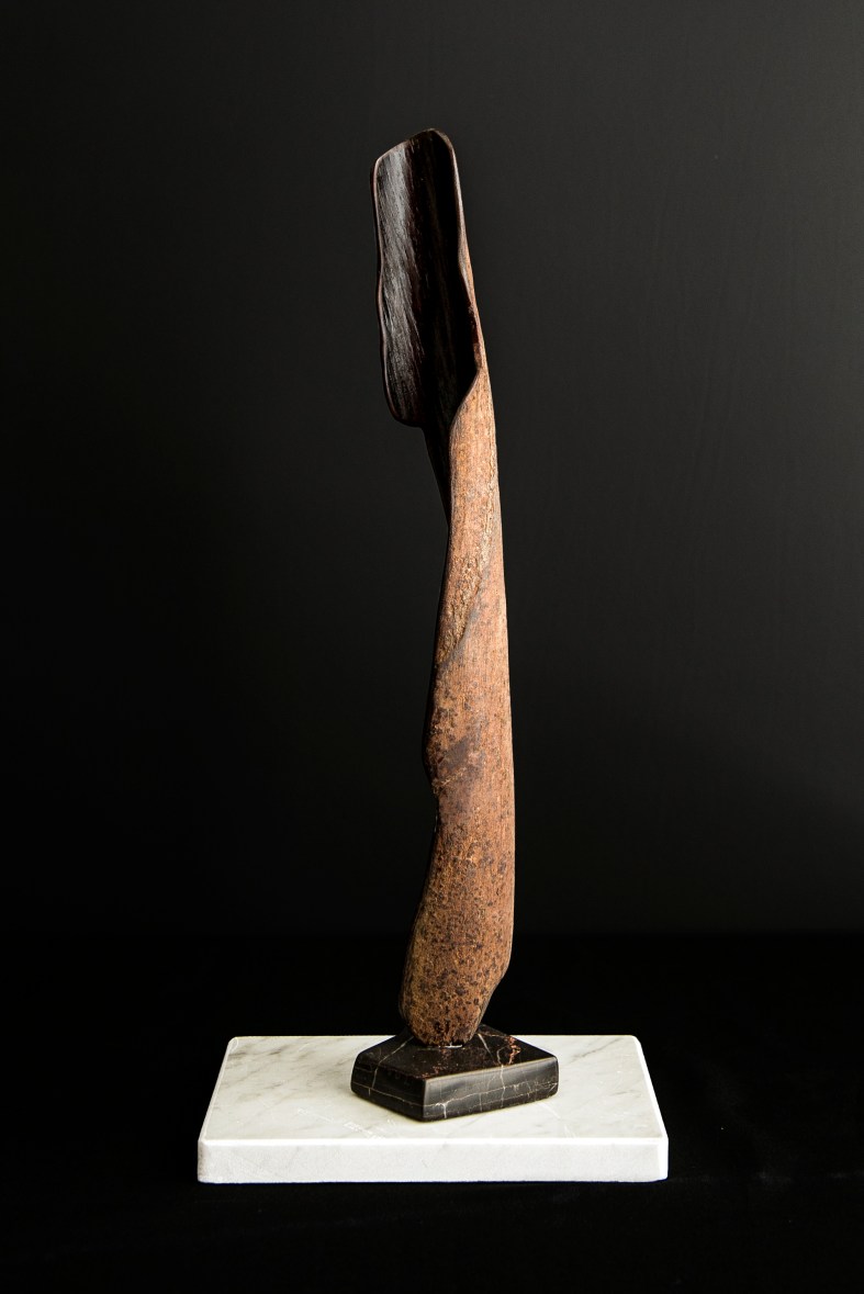 Paris silhouette - another view