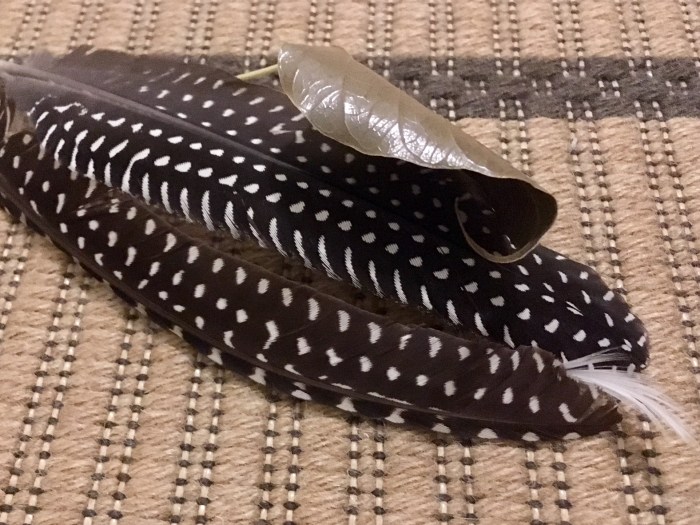 Feathery furry patterns