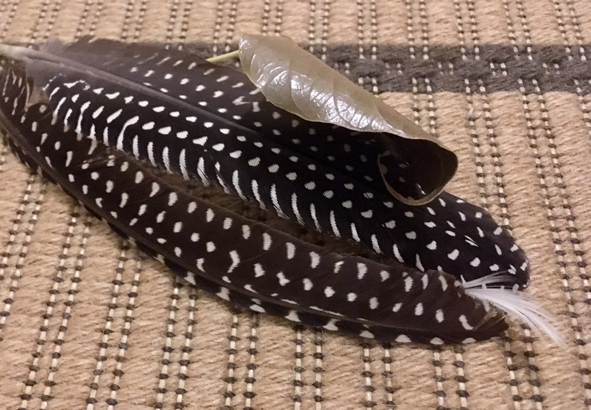 Feathery furry patterns